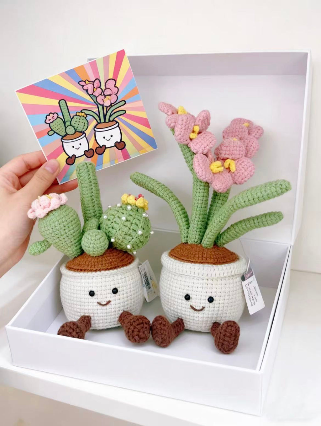 Crochet Potted Plant Gift Set — Smiley Pot Character